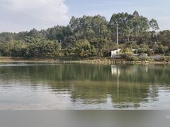 -黄龙溪古镇