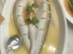 -蓟都宴