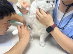 -谐和贝康宠物医院24小时·宠保定点(急重症转诊中心)