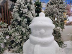 -世界之窗阿尔卑斯冰雪世界