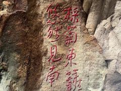 -大金鹰园