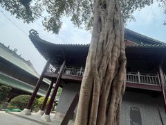 -南华禅寺
