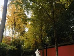 -茶去咖啡屋(武侯祠店)