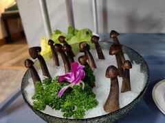 鸡枞菌-喜聚薈·花膠雞海鮮火鍋(越秀店)