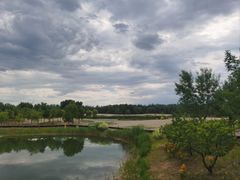 -东郊湿地公园
