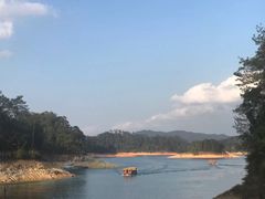 -广州市流溪河国家森林公园