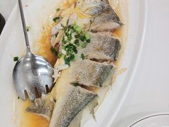 -渔意楼·驰名沙田乳鸽(五羊店)