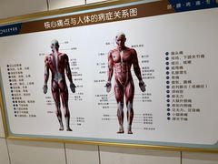 -通透堂中医·精准推拿(旗舰店)