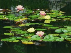 -温江公园