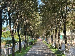 -盈香心动乐园