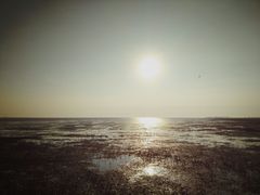-红海滩国家风景廊道