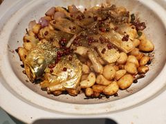 -小大董·烤鸭(观景餐厅·南京西路店)