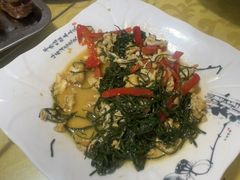 -煲来饱去冷水鱼