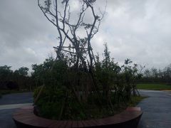 -春花秋色城市公园