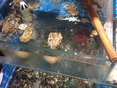 -北戴河庆山饭店·海鲜砂锅粥(北戴河黑石路店)