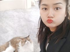 -More Fun猫咖 二十只万元加菲主题
