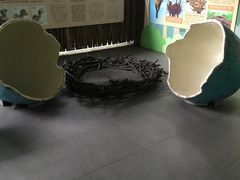 -新加坡飞禽公园