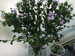 -艾加柒克蛋糕茶歇甜品台(春熙路店)