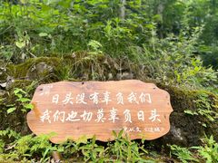 -边城茶峒景区
