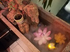 -将军牛排·尔滨地标朝鲜族美食(总店)