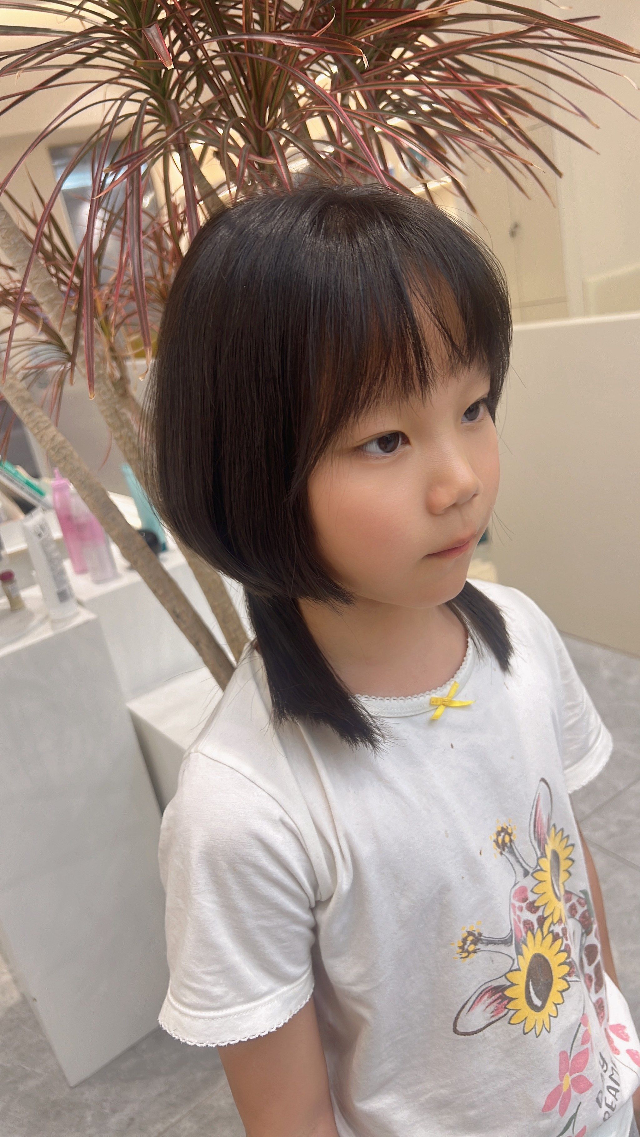 好可以凹出短发的造型
一款发型不同的风格#水母头 #北京剪发 #北京