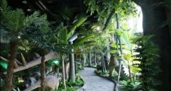 -恐龙探索乐园(磁器口店)