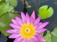 -三亚南山文化旅游区