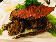 -新加坡海鲜共和(名胜世界圣淘沙海滨坊)