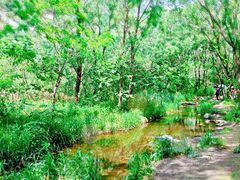 -碓臼峪自然风景区