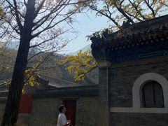 -阳台山自然风景区