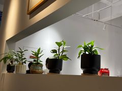 -本分冒菜直营(滨江店)