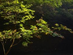 -龙门涧景区