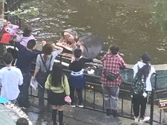 -昆明动物园