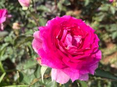 -人民公园(罗湖区)