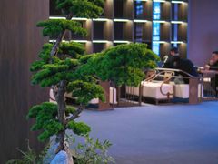 -椿杨樘·明康泡浴养生馆(重庆店)