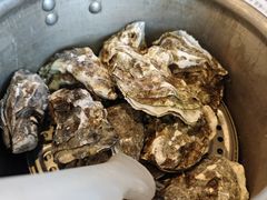 高压锅生蚝-晓香港海城三里桥烧烤