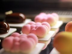 云朵慕斯-依云轻食·法甜