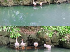 -兰亭风景区