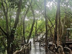 -海口火山口国家地质公园