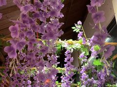 -风波庄(罍街分舵)