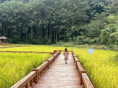 -高荡千年布依古寨旅游景区