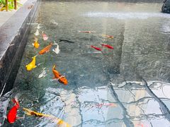 -天津海河悦榕庄·Lobby Lounge大堂吧