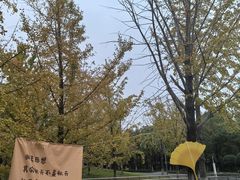 -武汉园博园(武汉自然博物馆)
