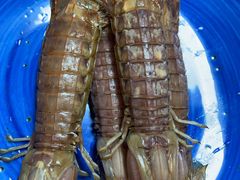 -南山酒肆(南山董事绘店)