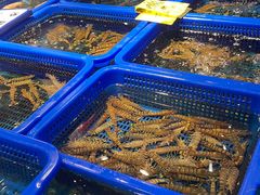 -驻海渔市(置信店)