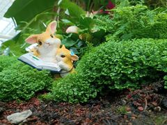 -石家庄市植物园