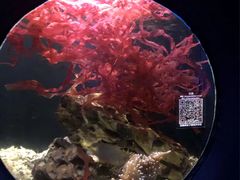 -欢乐海岸海洋奇梦馆