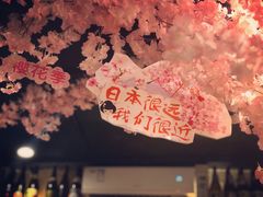 -三月居酒屋(青年大街店)