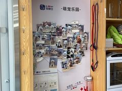 -宠颐生宠物医院·异宠猫科内科·诊疗中心宠巢店