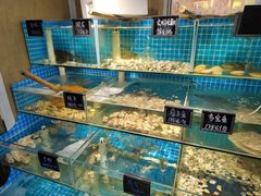 水产区-北戴河庆山饭店·海鲜砂锅粥(北戴河黑石路店)